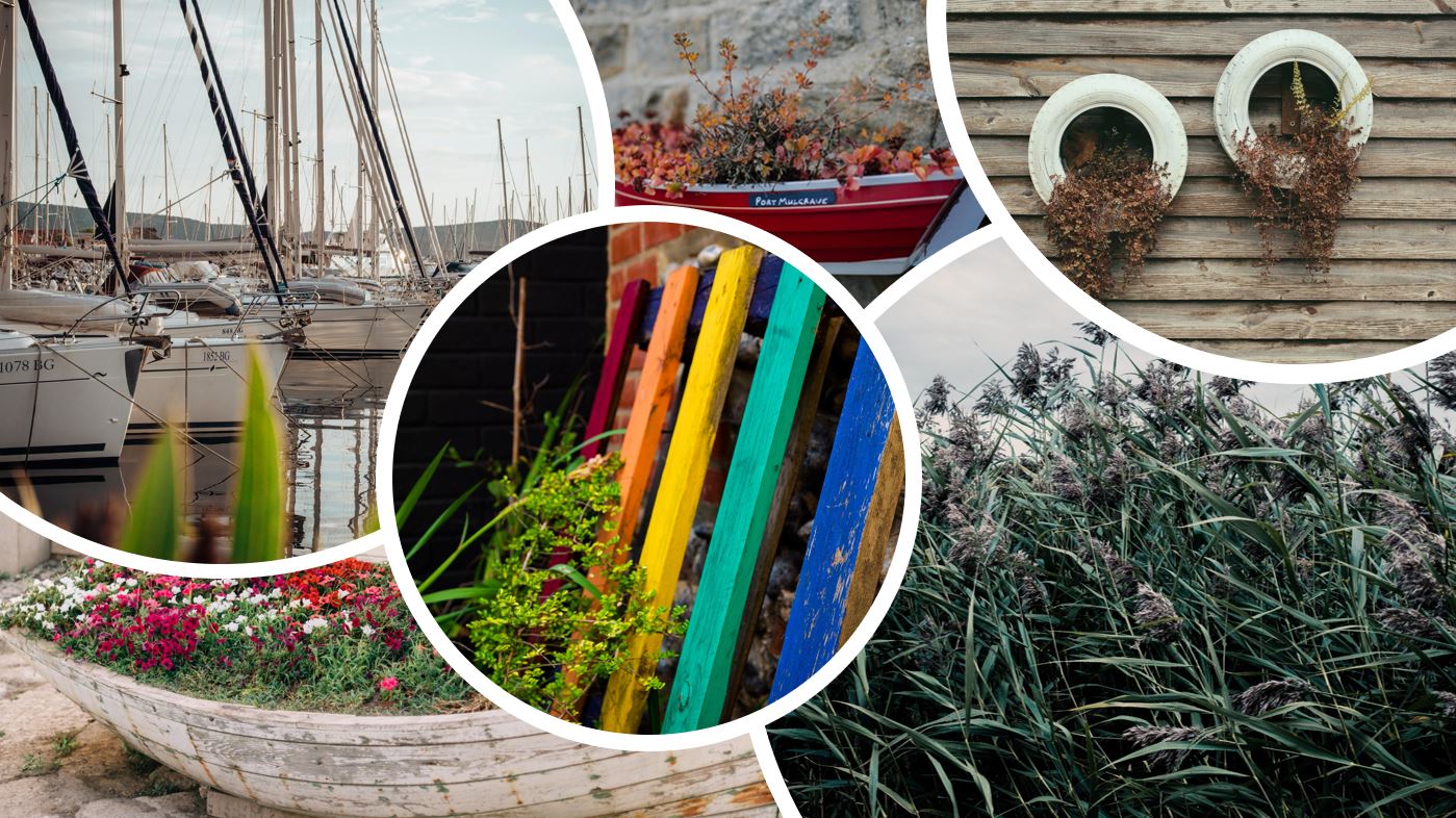Get Planting to Improve your Environment 