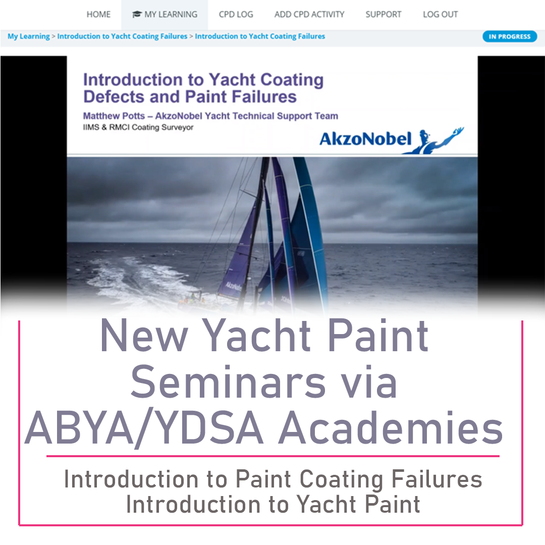 YDSA/ABYA Online Training – 2 New Paint Seminars Available!