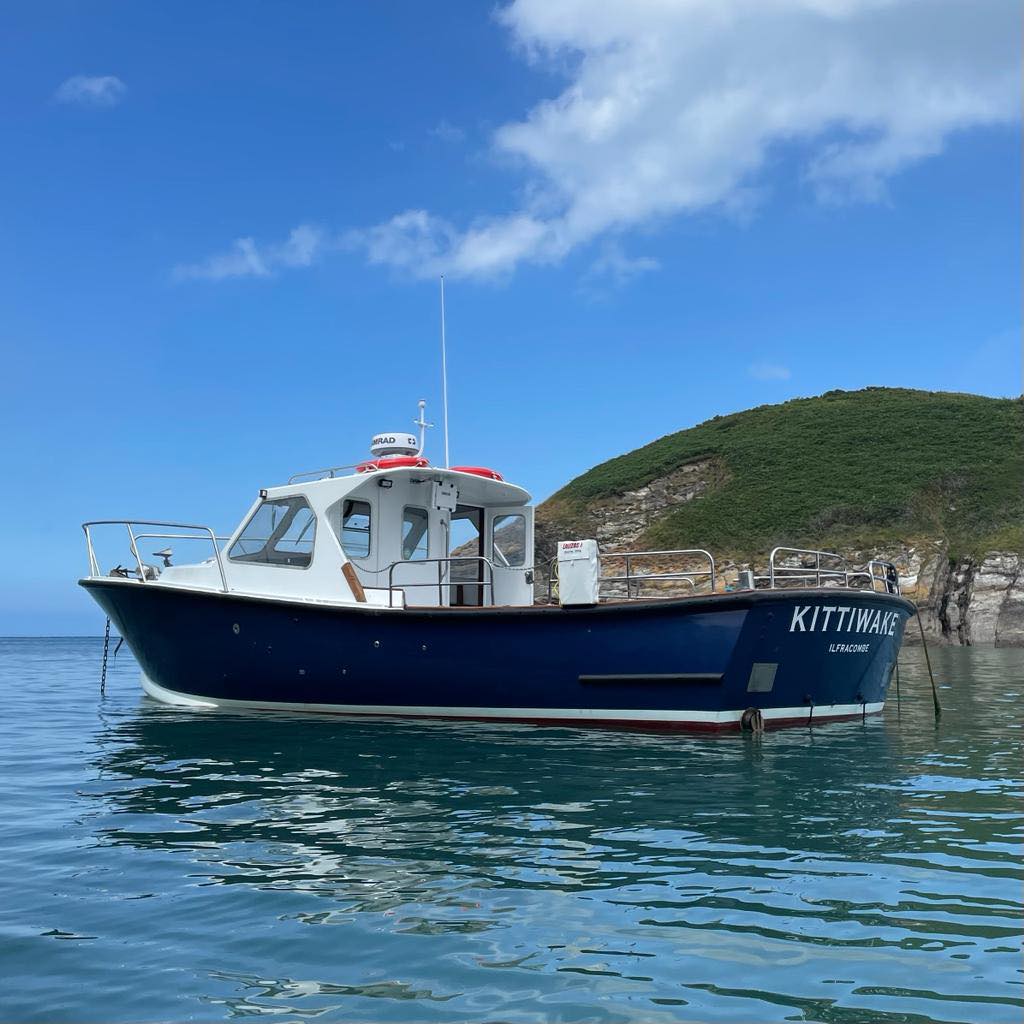 KITTIWAKE CHARTERS – DAVE MANNERING, YDSA CA CLIENT 
