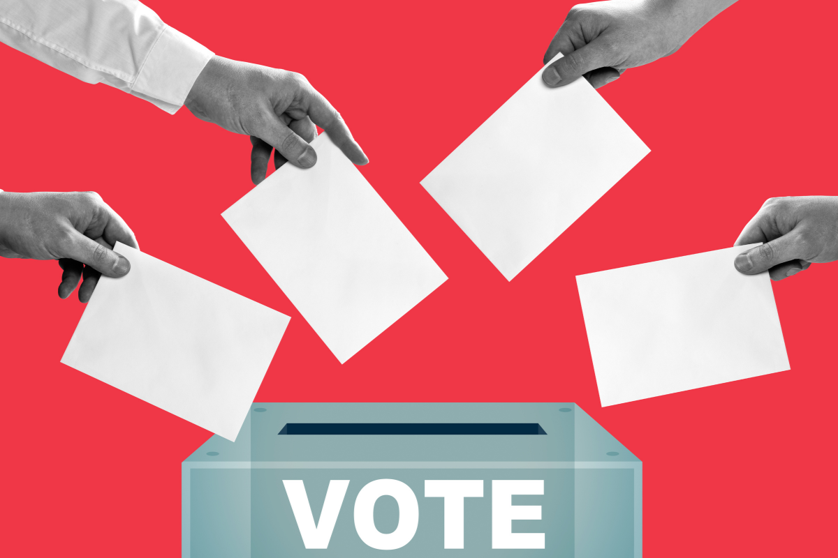 How to vote at the YDSA AGM